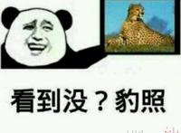 看到没 豹照