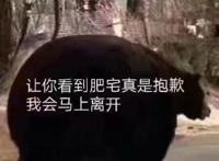 让你看到肥宅真是抱歉 我会马上离开