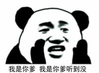 我是你爹 我是你爹听到没