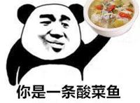 你是一条酸菜鱼 又酸又菜又多余