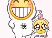我揪起沙雕网友表情