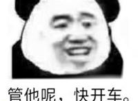 管他呢快开车表情 管他呢快开车表情