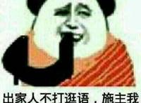 出家人不打诳语 施主我日你仙人