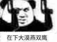 在下大漠燕双鹰