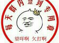 每天群内签到专用章