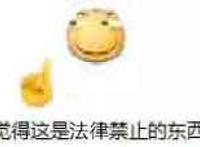 我觉得这是法律禁止的东西