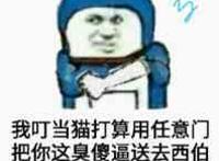 我叮当猫打算用任意门把你这凑傻逼送去西伯利亚挖土豆