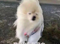 我站在烈烈风中 恨不能荡尽绵绵心痛