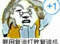 要用复读打败复读机+1