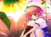 藤蔓耽美漫画之无孔不入