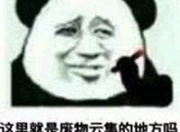 这里就是废物云集的地方吗