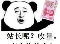 站长呢 收量 有合作的吗