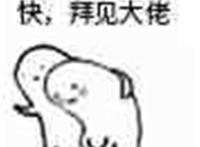 快 拜见大佬（磕头）