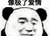 像极了爱情