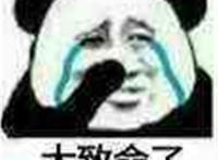 太致命了（流泪）