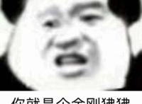 你就是个金刚狒狒