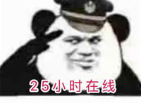 高强度网上冲浪 25小时在线（对不起 我是网络警察）