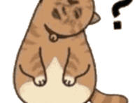 歪头猫咪问号表情