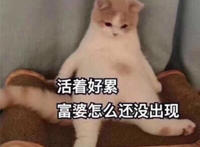 活着好累 富婆怎么还没出现（坐着的猫咪表情）