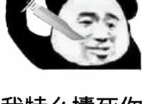 我他么攮死你