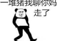 一群猪我聊你妈 走了