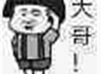 大哥敬礼表情