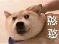 憨憨狗头表情图片