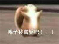 赐予我富婆吧（小仓鼠表情）