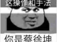 这操作和手法 你是蔡徐坤