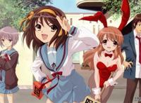 动物耽美漫画之兔子