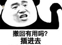 撤回有什么用 插进去 再拔出来等于没插吗