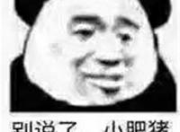 别说了小肥猪表情