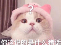 你这说的是什么猪话（猫咪瞪眼表情）