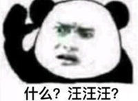 什么 汪汪汪（竖起耳朵）