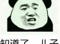知道了 儿子