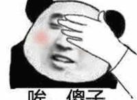 唉 傻子（捂脸表情）