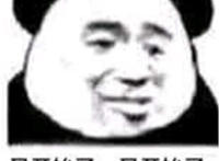 又开始了 又开始了表情