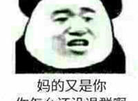 妈的 又是你 你怎么还没退群啊