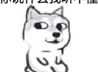 你说什么我听不懂表情