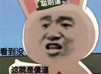 看到没 你就是傻逼 （聪明逼）