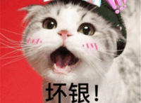 坏银可爱猫咪表情