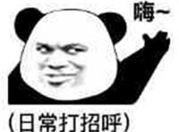 嗨（日常打招呼）