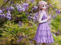 漫画爱丽丝学园之落樱缤纷 末樱