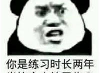 你是练习时长两年半的个人练习生