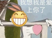 我想我是爱上你了