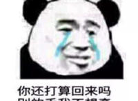 你还打算回来吗 别的手我不想牵