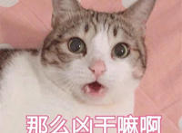 那么凶干嘛啊猫咪表情