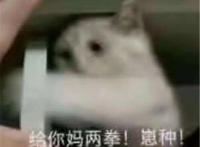 给你妈两拳 崽种