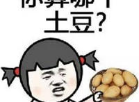 你算哪个土豆