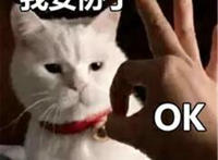 我妥协了表情图片